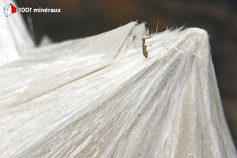 Détail de la texture fibreuse blanche de la Pectolite de Saint-Pandelon.