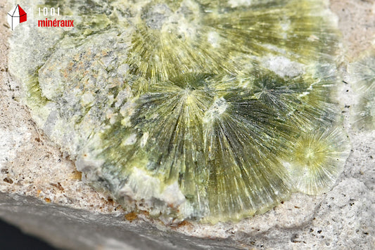 Minéral cristallisé de wavellite verte des Etats-Unis