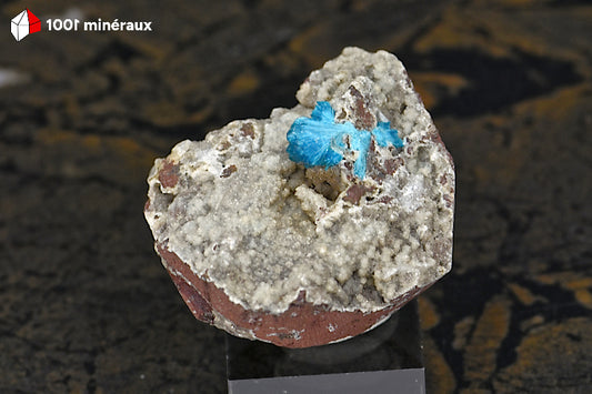 Cavansite sur Apophyllite de l'Inde - Rosette de cristaux bleu vif sur gangue blanche - 35 g - BQ89
