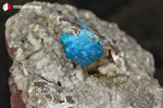 Cavansite sur Apophyllite de l'Inde (rosette) - 35 g / BQ89 - Vignette | 1001 minéraux