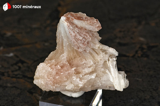 Scolécite de l'Inde - Ensemble de 2 gerbes en éventail de cristaux translucides sur socle - 68 g - BQ90
