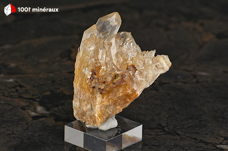 Cristal de roche de France - Vue d'ensemble du groupe sur base de Quartz massif - BQ93
