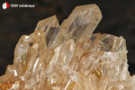 Cristal de roche de France (groupe de cristaux sur Quartz) - 145 g / BQ93 - Vignette | 1001 minéraux
