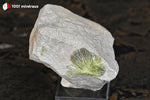 Wavellite de l'Arkansas, USA (cristallisation rayonnante sur roche) - 96 g / BQ94 - Vignette | 1001 minéraux