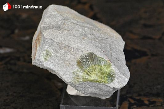 Wavellite de l'Arkansas USA - Cristallisation rayonnante verte sur roche matrice - 96 g - BQ94
