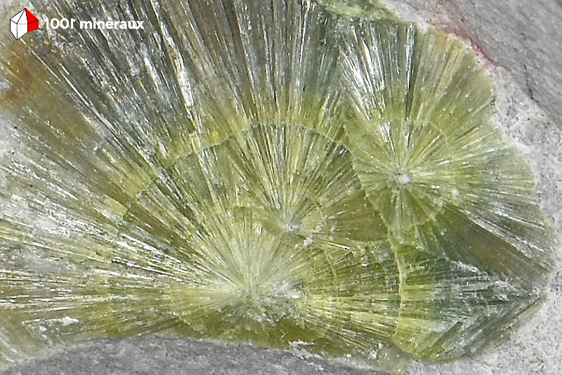 Wavellite de l'Arkansas USA - Détail de la structure rayonnante aciculaire des rosettes - BQ94
