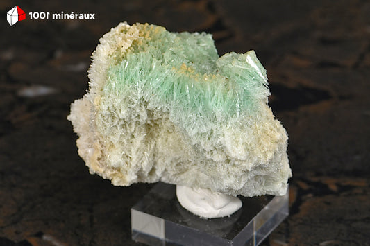 Gypse cuprifère d'Australie - Vue générale du spécimen aux cristaux aciculaires verts - 38 g - BQ96
