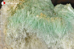 Gypse cuprifère d'Australie (cristaux verts translucides enchevêtrés) - 38 g / BQ96 - Vignette | 1001 minéraux