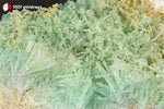 Gypse cuprifère d'Australie (cristaux verts translucides enchevêtrés) - 38 g / BQ96 - Vignette | 1001 minéraux