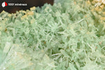 Gypse cuprifère d'Australie (cristaux verts translucides enchevêtrés) - 38 g / BQ96 - Vignette | 1001 minéraux