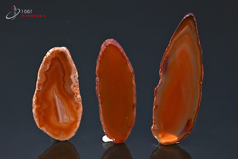 Lot de 3 tranches Agate naturelle Brésil - Camaïeu brun, bandes concentriques, 5,9 à 7,6 cm - 35 g - Lot3AZ44
