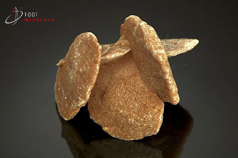Minéral cristallisé de rose des sables du Maroc