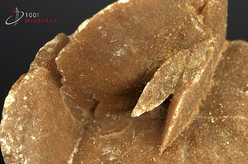 Minéral cristallisé de rose des sables du Maroc