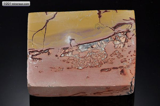 Minéral poli de jaspe mokaïte d'Afrique du sud