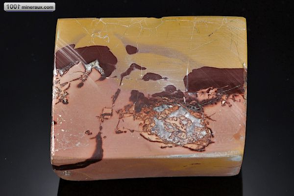 Minéral poli de jaspe mokaïte d'Afrique du sud