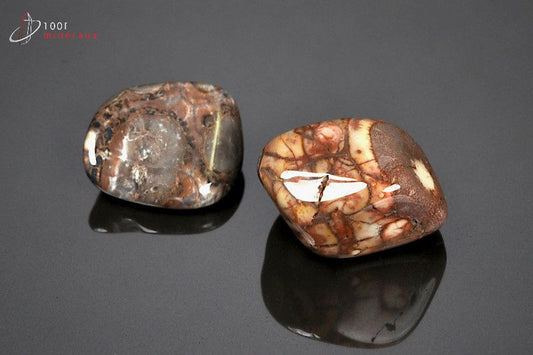 Minéral poli de jaspe orbiculaire du Brésil