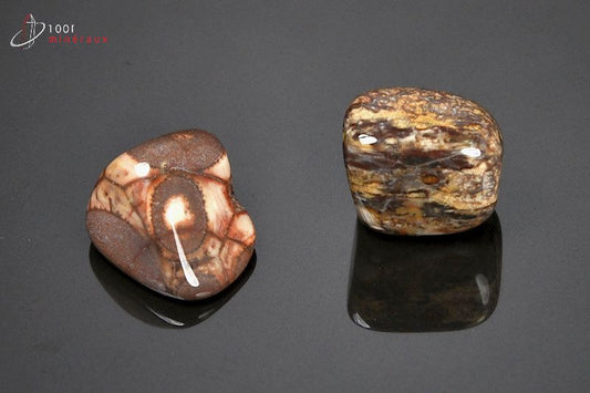 Minéral poli de jaspe orbiculaire du Brésil