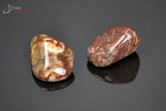 Lot de 2 Jaspes Bird Eyes polis - Brésil - minéraux polis 2.4 - 2.5 cm / 14g / AT131 - Vignette | 1001 minéraux
