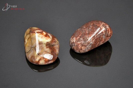 Minéral poli de jaspe orbiculaire du Brésil