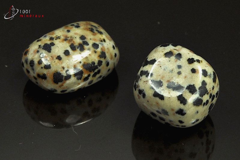 Minéral poli de jaspe dalmatien du Mexique