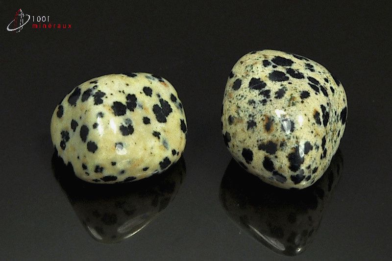 Minéral poli de jaspe dalmatien du Mexique