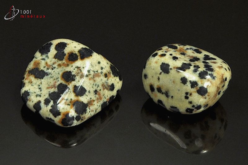 Minéral poli de jaspe dalmatien du Mexique