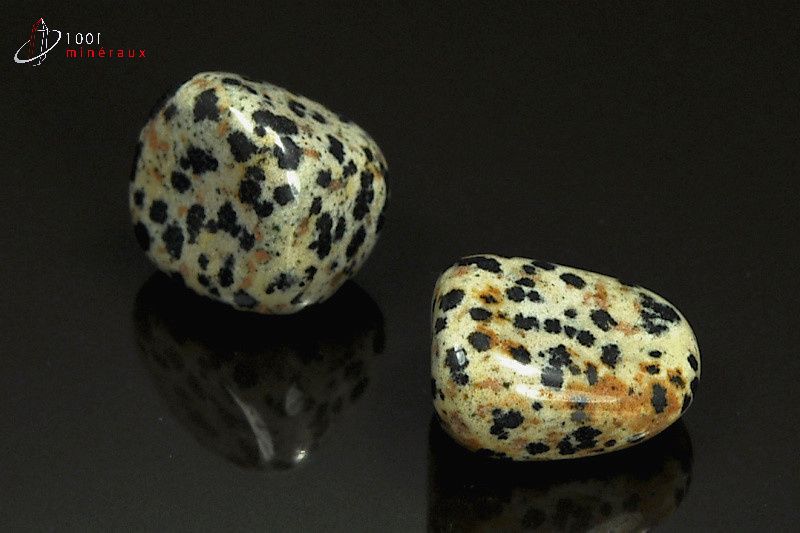 Minéral poli de jaspe dalmatien du Mexique