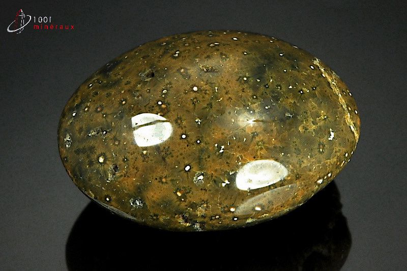 Minéral poli de jaspe orbiculaire de Madagascar