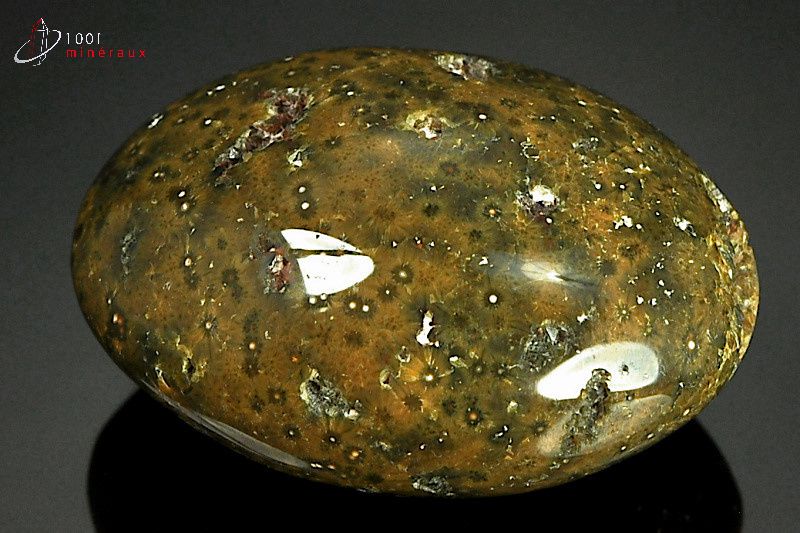 Minéral poli de jaspe orbiculaire de Madagascar