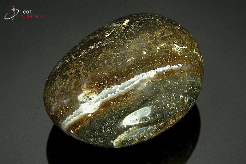 Minéral poli de jaspe orbiculaire de Madagascar
