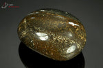 Jaspe orbiculaire galet - Madagascar - minéraux polis 5.5 cm / 84g / AV118 - Vignette | 1001 minéraux
