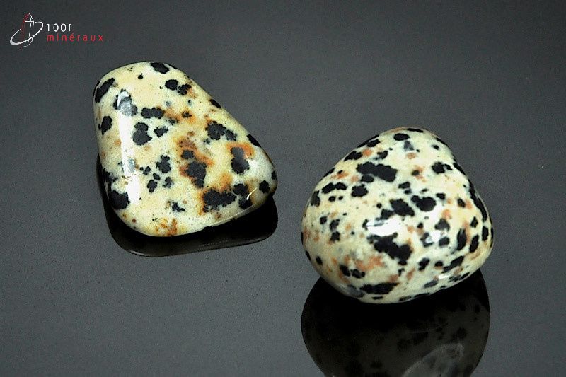 Minéral poli de jaspe dalmatien du Mexique