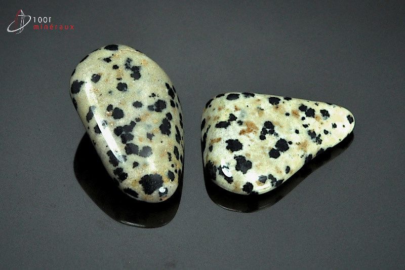 Minéral poli de jaspe dalmatien du Mexique