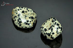 Lot de 2 Jaspes dalmatiens polis - Mexique - pierres roulées 2.3 - 2.5 cm / 16g / AW728 - Vignette | 1001 minéraux