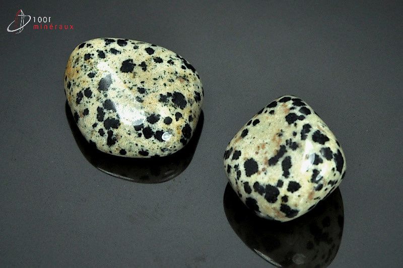 Minéral poli de jaspe dalmatien du Mexique