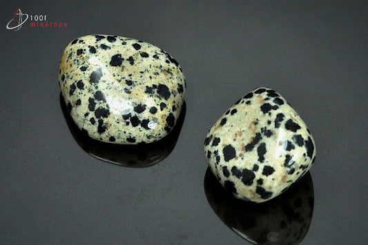 Minéral poli de jaspe dalmatien du Mexique