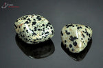 Lot de 2 Jaspes dalmatiens polis - Mexique - pierres roulées 2.3 - 2.7 cm / 18g / AW732 - Vignette | 1001 minéraux
