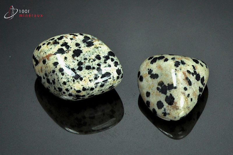 Minéral poli de jaspe dalmatien du Mexique