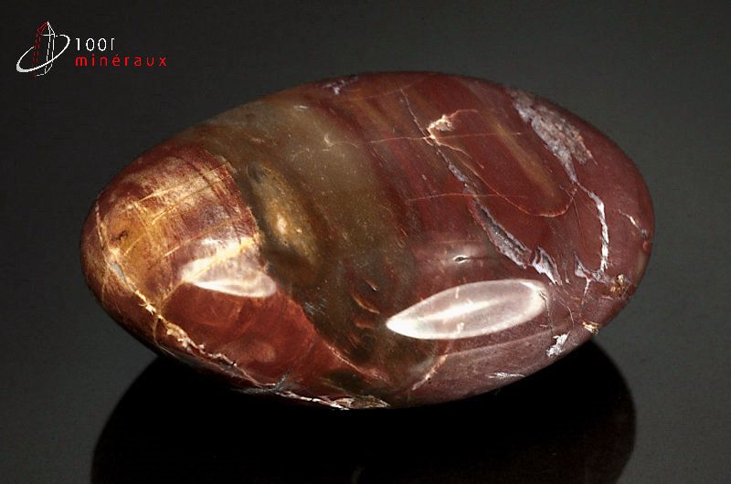 Fossile poli de bois fossilisé rouge de Madagascar