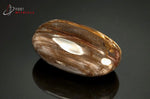 Bois fossilisé galet poli - Madagascar - fossiles 5,2 cm / 59 g / AX221 - Vignette | 1001 minéraux