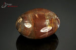 Bois fossilisé galet poli - Madagascar - fossiles 4,8 cm / 74 g / AX222 - Vignette | 1001 minéraux