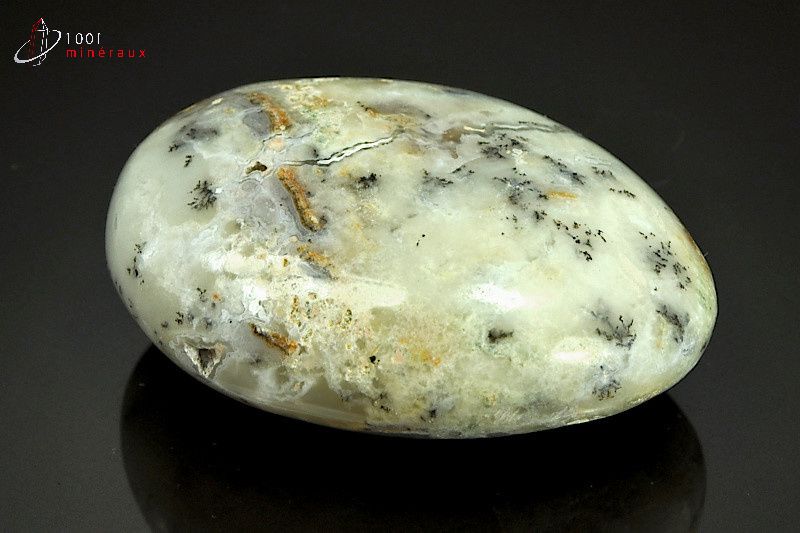 Minéral poli d'opale à dendrites de Madagascar