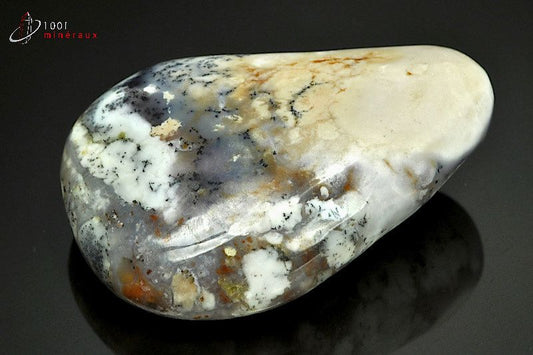 Minéral poli d'opale à dendrites de Madagascar