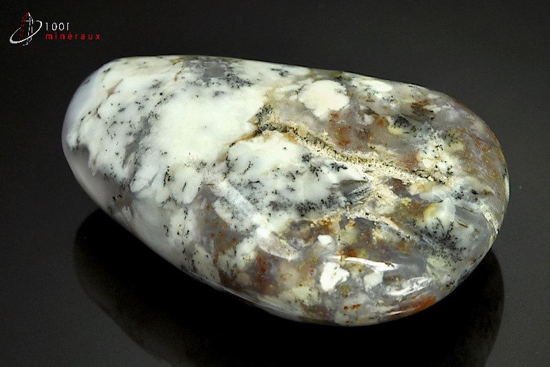 Minéral poli d'opale à dendrites de Madagascar
