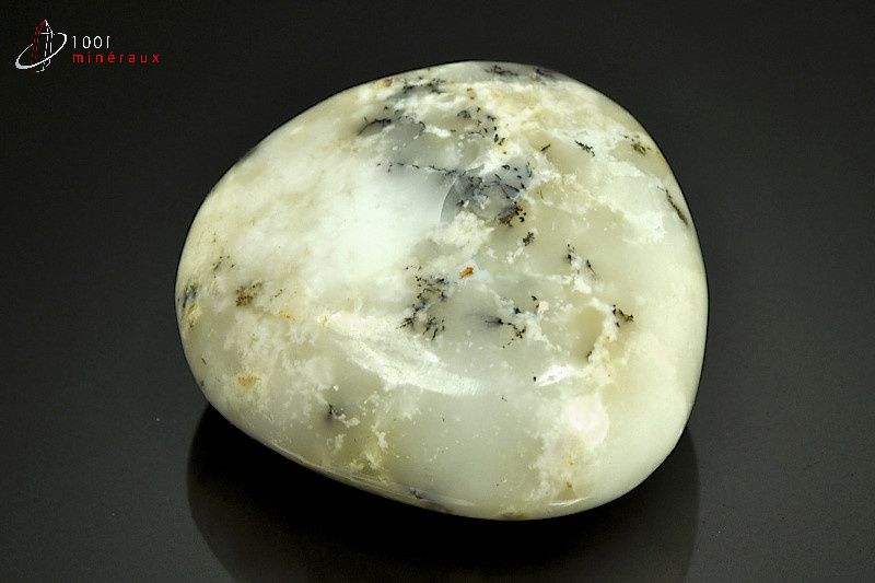 Minéral poli d'opale à dendrites de Madagascar
