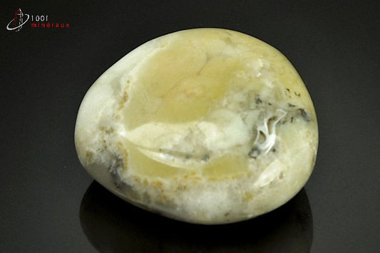 Minéral poli d'opale à dendrites de Madagascar