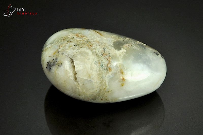 Minéral poli d'opale à dendrites de Madagascar