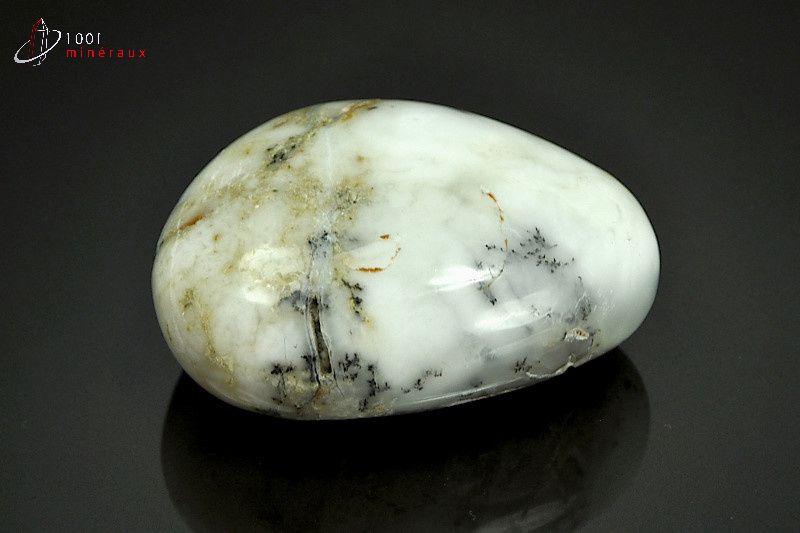 Minéral poli d'opale à dendrites de Madagascar