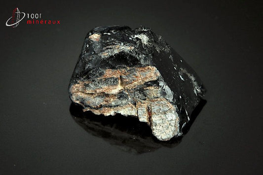 Minéral brut d'obsidienne flocons de neige noire et blanche du Mexique