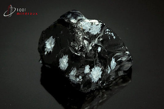 Minéral brut d'obsidienne flocons de neige noire et blanche du Mexique